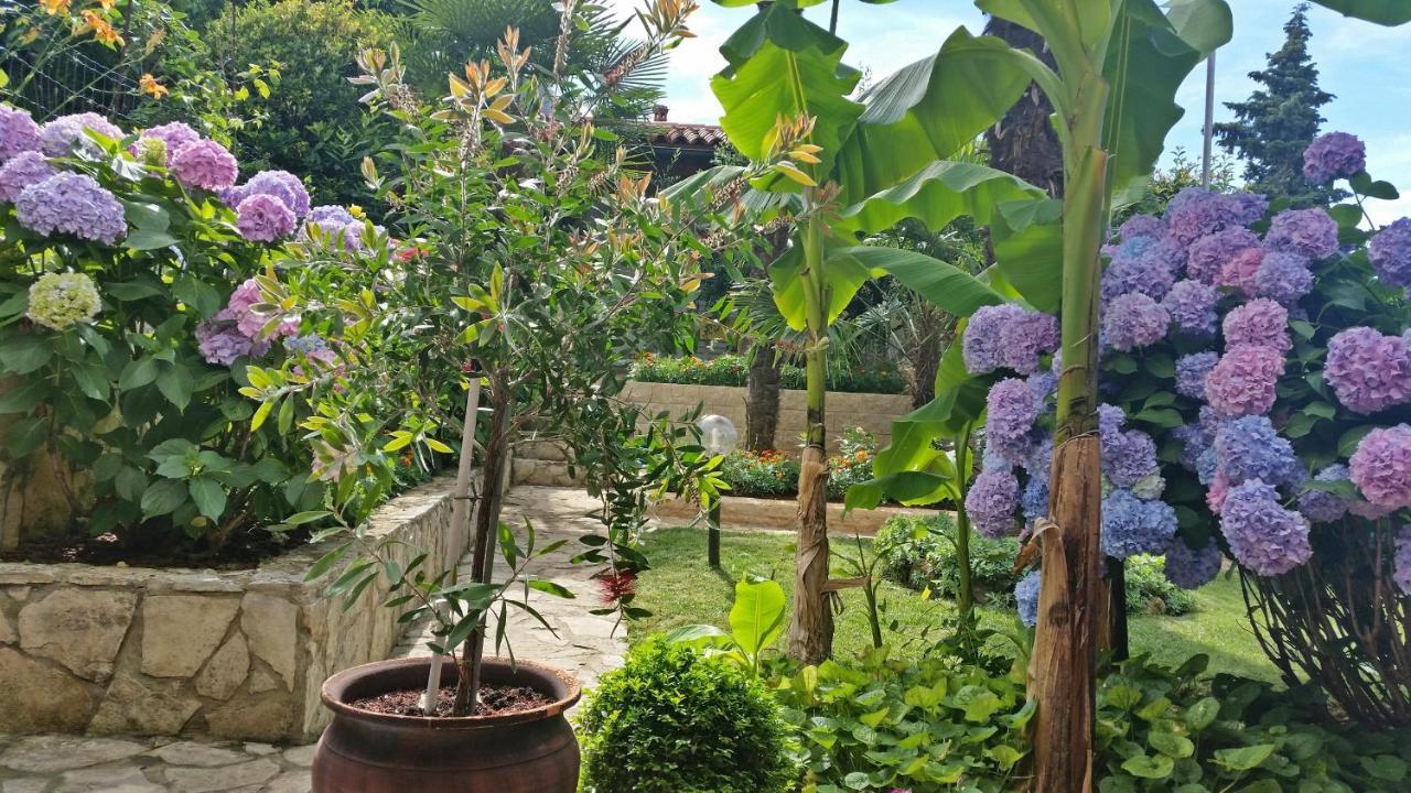 Apartman Ornela Porec Bagian luar foto